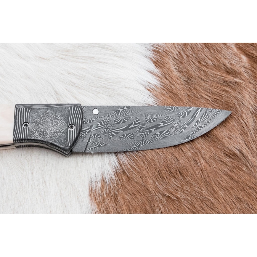 Couteau pliant unique en acier de Damas 8,6 cm défense de mammouth