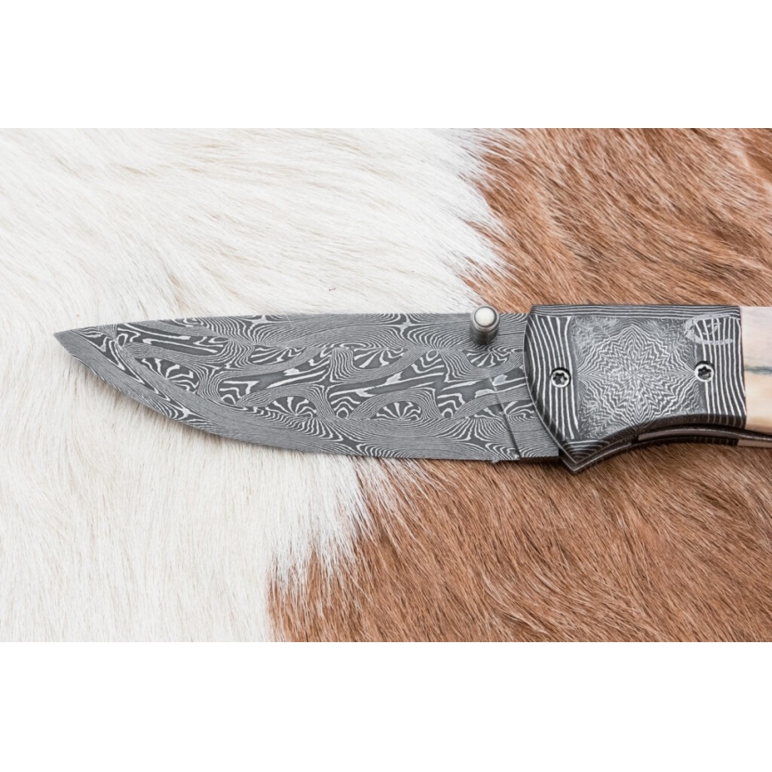 Couteau pliant unique en acier de Damas 8,6 cm défense de mammouth
