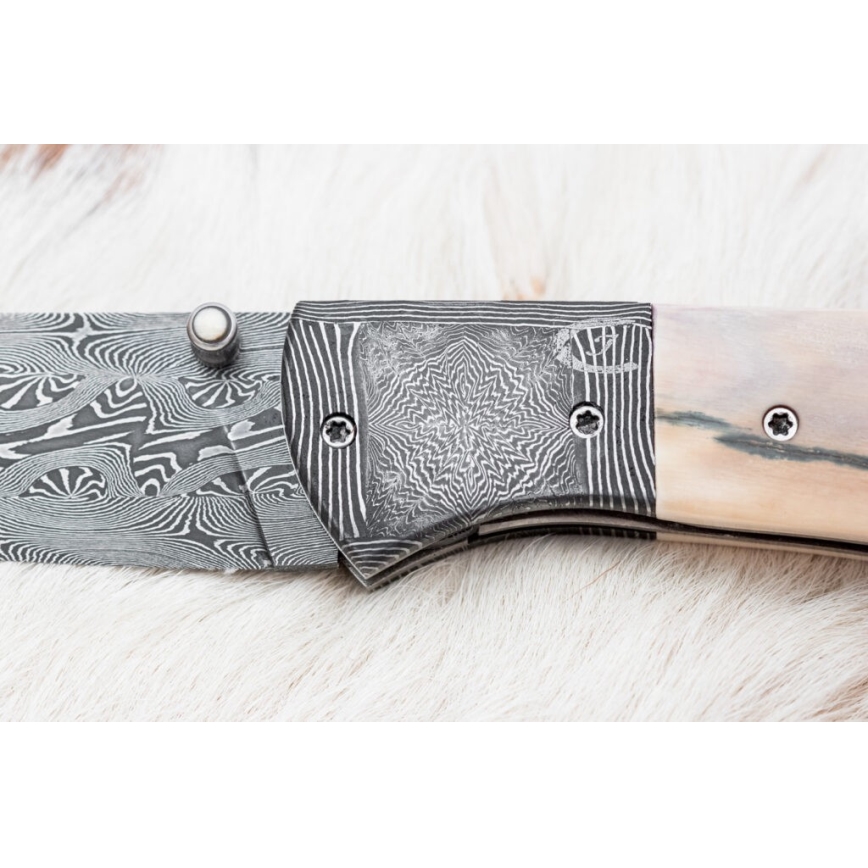 Couteau pliant unique en acier de Damas 8,6 cm défense de mammouth