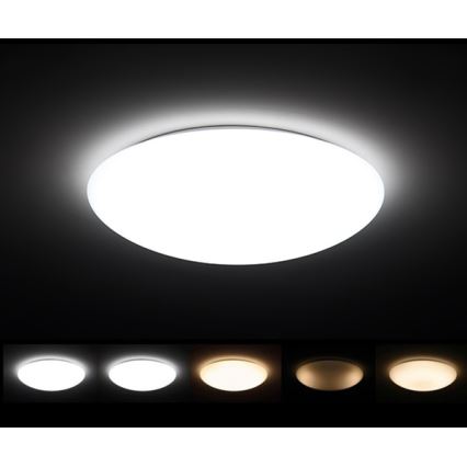 Dalen DL-C408T - Plafonnier LED à intensité modulable CLASSIC LED/56W/230V