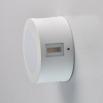 De Markt - Applique murale LED extérieur STREET 1xLED/20W/230V IP44