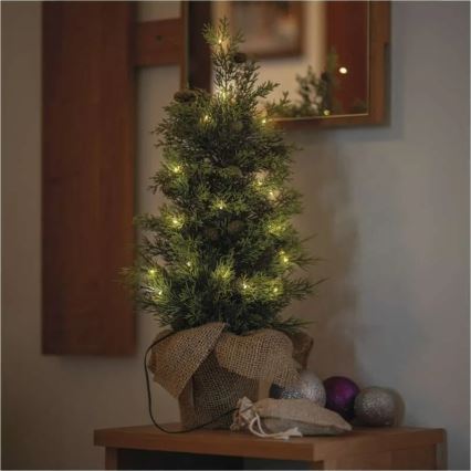 Décoration de Noël à LED, 30 LED / 3 piles AA, IP44