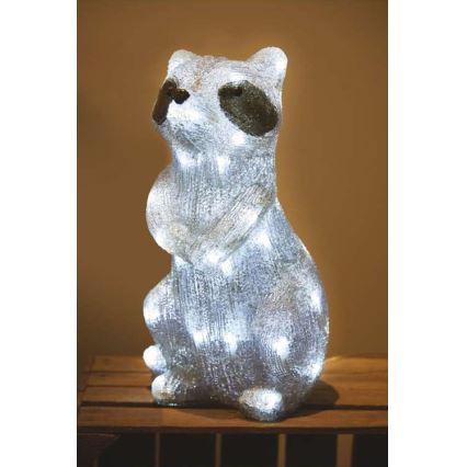 Décoration de noël d'extérieur 40xLED/2,1W/230V IP44 raton laveur