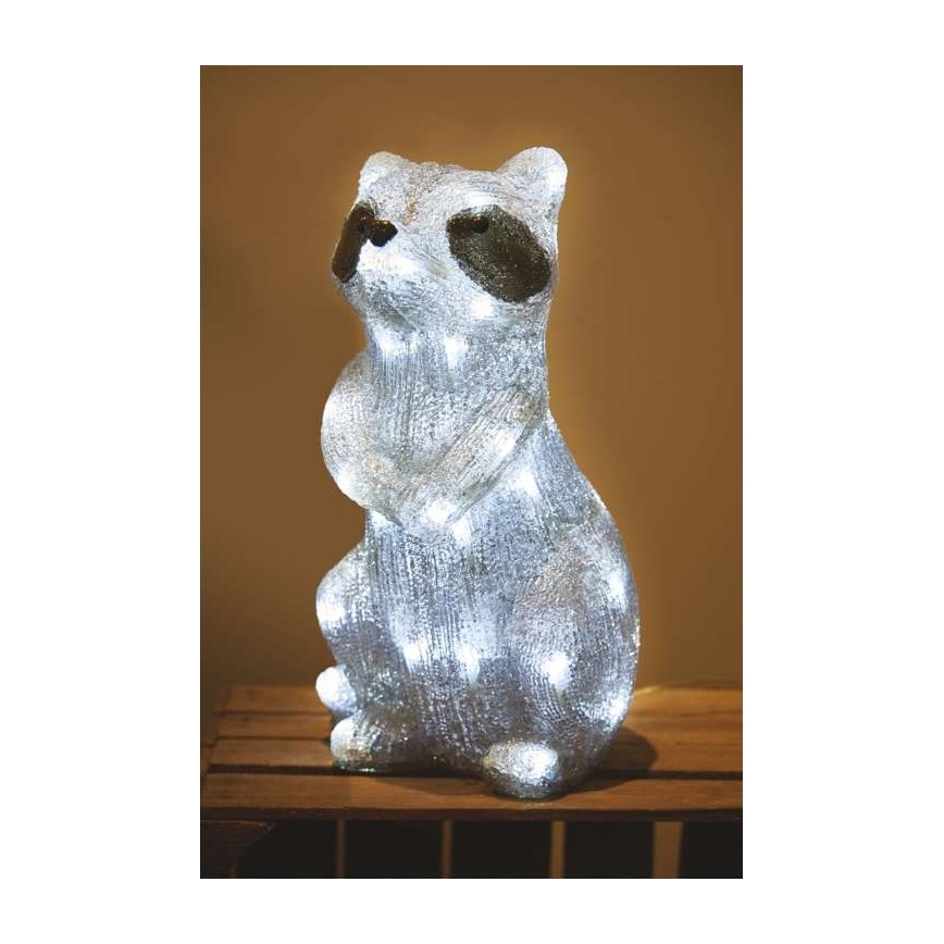 Décoration de noël d'extérieur 40xLED/2,1W/230V IP44 raton laveur