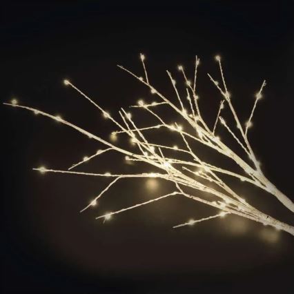 Décoration LED de Noël pour l'extérieur, 100 LED, 3x AA, blanc chaud, IP44