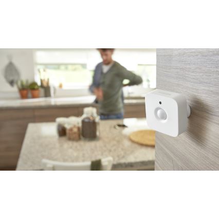 Détecteur de mouvement Philips Hue 2xAAA