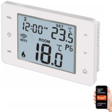 Digital thermostat GoSmart 230V/6A