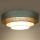 Duolla - Plafonnier LUNETA LED/26W/230V d. 60 cm 4000K turquoise/beige/crème