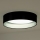 Duolla - Plafonnier ROLLER LED/24W/230V noir/argent