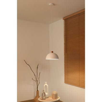 Duolla - Suspension sur câble IRONLINE 1xE27/15W/230V Ø 27 cm blanc/cuivre
