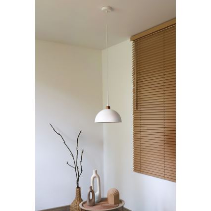 Duolla - Suspension sur câble IRONLINE 1xE27/15W/230V Ø 27 cm blanc/cuivre
