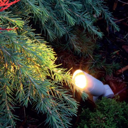 Éclairage d'extérieur LED OKO LED/1W/350mA IP54
