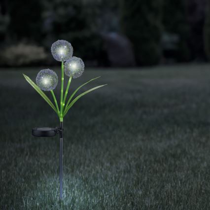Éclairage solaire ALLIUM LED/1,2V 6500K 600 mAh IP44 noir