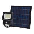 Éclairage solaire avec détecteur LED/30W/3,7V 6500K IP65 6600 mAh