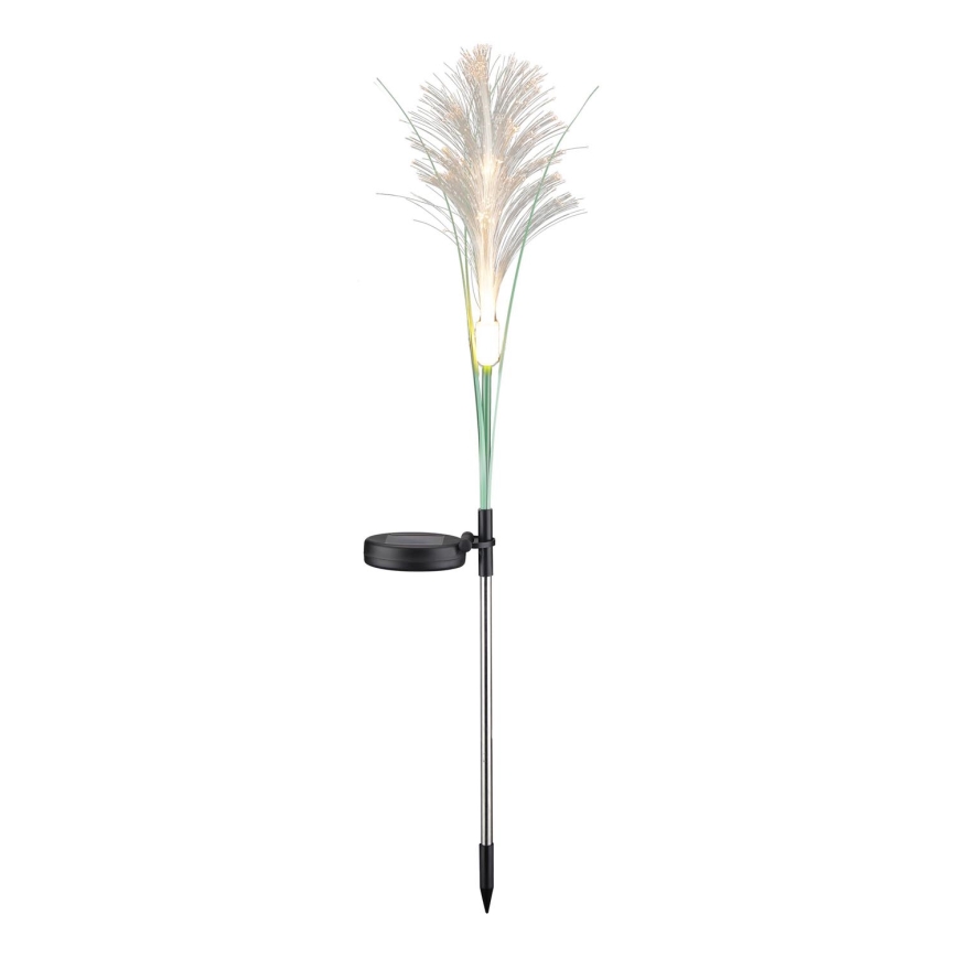 Éclairage solaire GRASS LED/1,2V 3000K 600 mAh IP44 noir