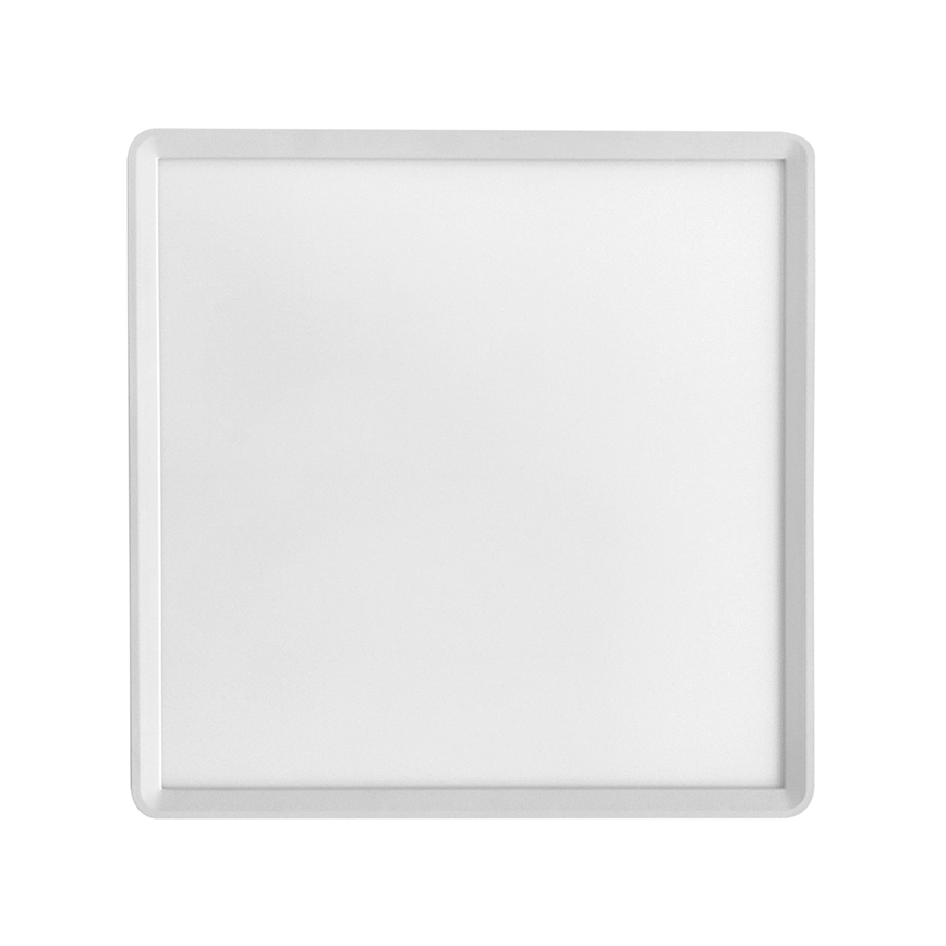 Plafonnier TERY LED/24W/230V 3000/4000/6000K 30x30 cm IP40 blanc