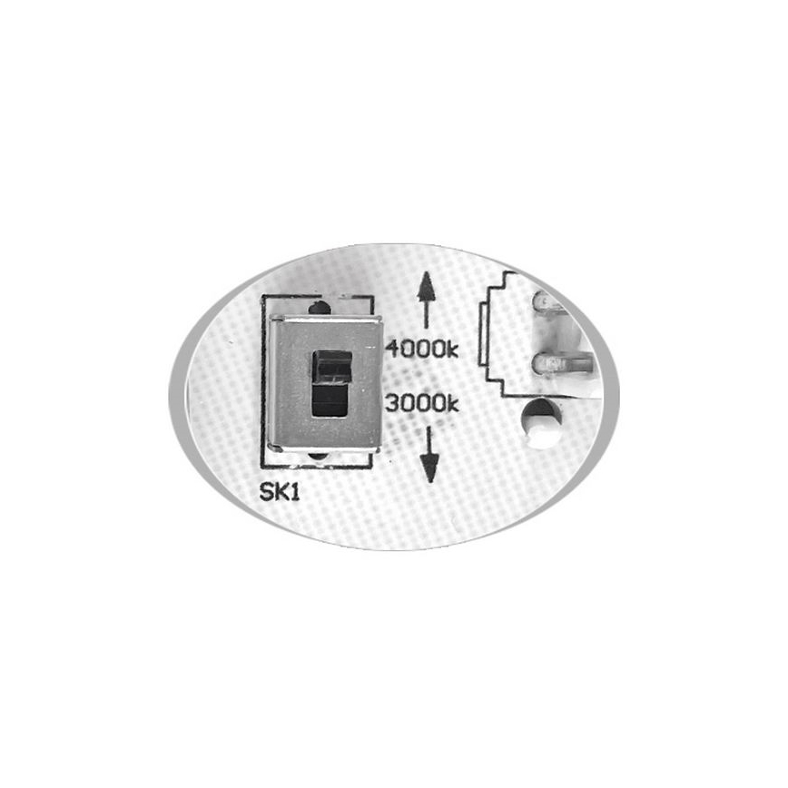 Plafonnier extérieur MARTIN LED/15W/230V 3000/4000K d. 30 cm IP65 noir