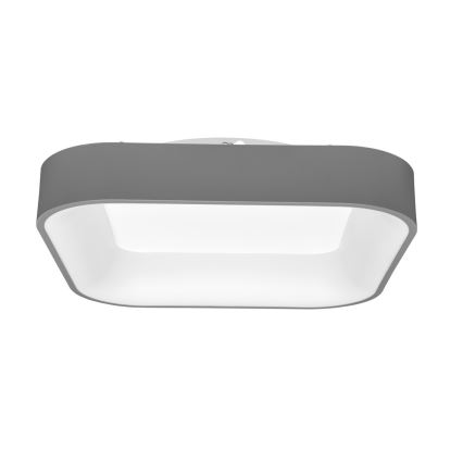 Plafonnier LED à intensité variable NEST LED/40W/230V 3000-6500K gris + télécommande