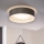 Eglo 31623 - Plafonnier LED MASERLO LED/16W/230V 3000K Ø 40,5 cm gris/argenté