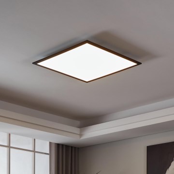 Eglo 31725 - Plafonnier à intensité variable SALOBRENA-Z LED/33W/230V 2700-6500K noir