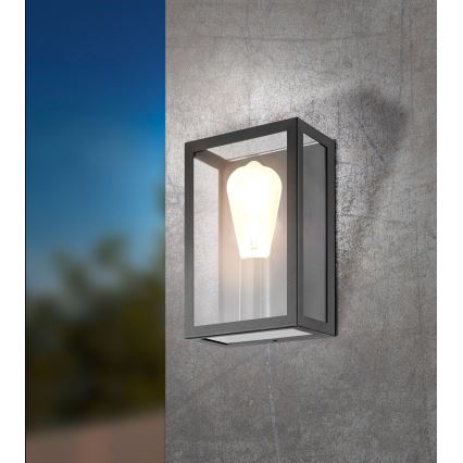 Eglo 31778 - Applique murale d'extérieur LED RGBW dimmable ALAMONTE-Z LED/4,9W/230V 3000K IP44 noir