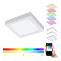 Eglo 33316 - Plafonnier LED RGBW dimmable FUEVA-C LED/15,6W/230V 2700-6500K 22,5 x 22,5 cm blanc
