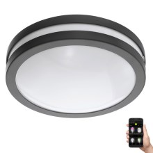 Eglo 33571 - Spot à intensité variable LED salle de bain LOCANA-C LED/14W/230V IP44 noir
