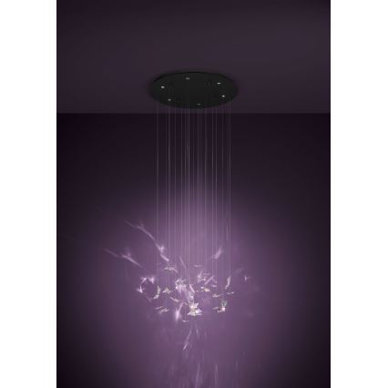 Eglo - Suspension LED dimmable sur câble 6xLED/4,2W/230V noir/transparent