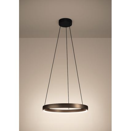 Eglo Stars of Light - Suspension LED dimmable sur câble avec détecteur de mouvement 2xLED/19W/230V 2200–6500K Ø 55 cm marron
