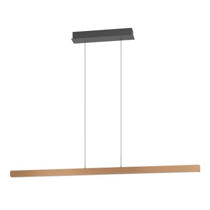 Eglo Stars of Light - Suspension LED dimmable sur câble LED/30W/230V 2200-6500K dorée + télécommande