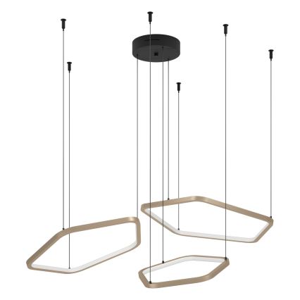 Eglo - Lustre LED dimmable sur câble LED/50W/230V 2200-6500K laiton + télécommande