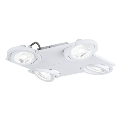 Eglo 39136 - Spot LED BREA 4xLED/5W/230V/12V