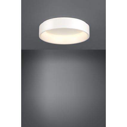 Eglo - Plafonnier à intensité variable 1 LED/35,2W/230V