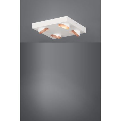 Eglo - Plafonnier LED 4xLED/3,3W/230V