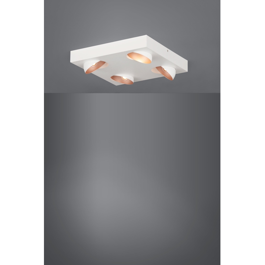 Eglo - Plafonnier LED 4xLED/3,3W/230V