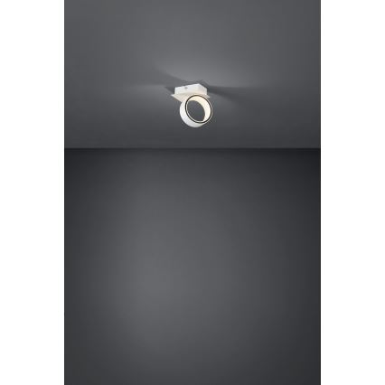Eglo - Spot LED/4,6W/230V 3000K