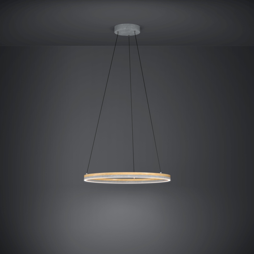Eglo - Suspension filaire à intensité variable LED/36W/230V 3000K gris/chêne
