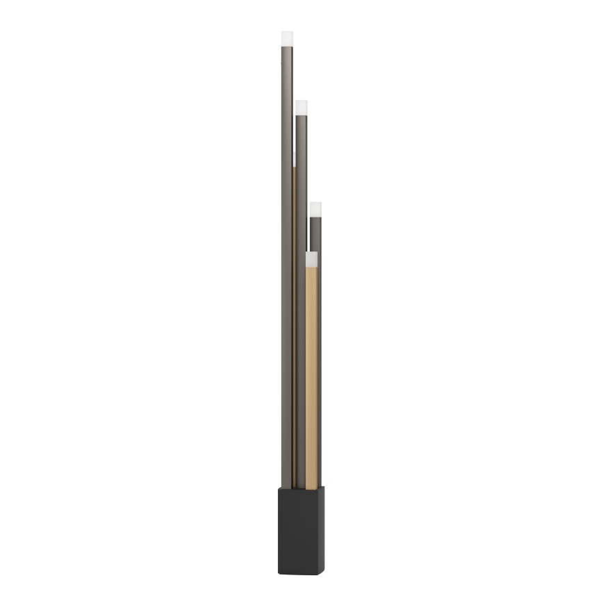 Eglo - Lampadaire à intensité variable 5xLED/3,7W/230V 3000K anthracite/doré