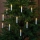 Eglo 410525 - Guirlande LED, 16 ampoules à culot E10, 0,2 W, 230 V, 12 m