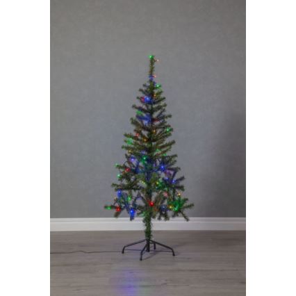 Eglo - Guirlande lumineuse LED d'extérieur 80 LED 8 m IP44 multicolore