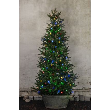 Eglo - Guirlande de noël d'extérieur 160xLED 2m IP44 multicolore