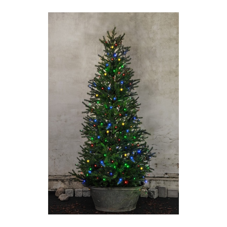 Eglo - Guirlande de noël d'extérieur 160xLED 2m IP44 multicolore