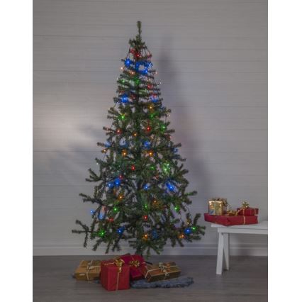 Eglo - Guirlande de noël d'extérieur 160xLED 2m IP44 multicolore