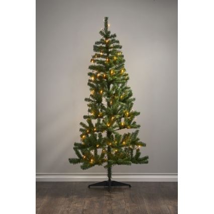 Eglo - Guirlande lumineuse LED d'extérieur 80xLED 10,5m IP44 blanc chaud