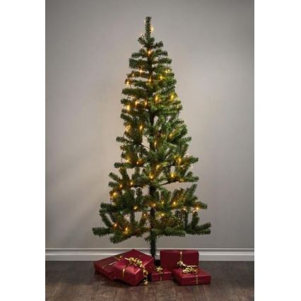 Eglo - Guirlande de Noël LED d'extérieur 80 LED 10,5 m IP44 blanc chaud