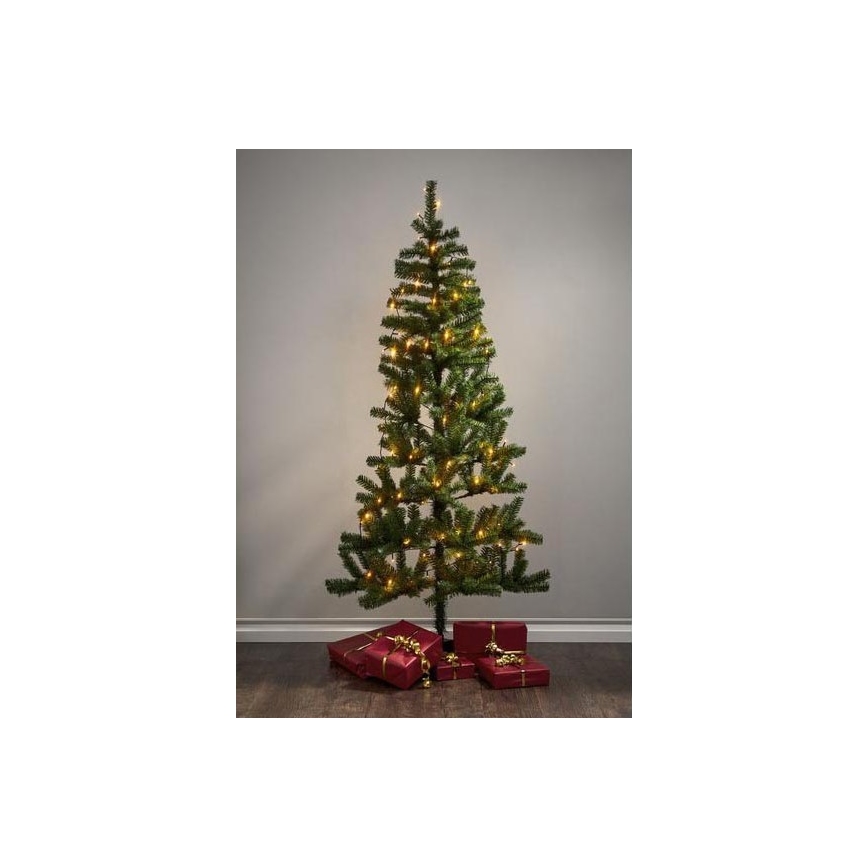 Eglo - Guirlande de Noël LED d'extérieur 80 LED 10,5 m IP44 blanc chaud