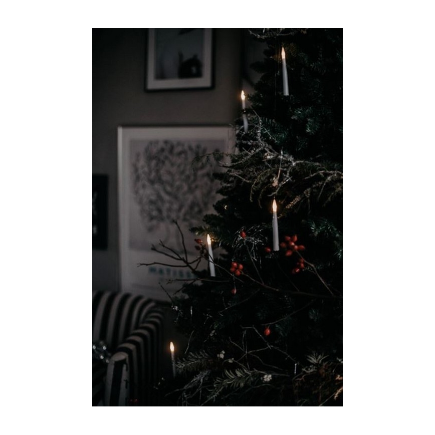 Eglo - Arbre de noël 250 cm épicea