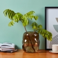 Eglo 421238 - Vase en verre MAROSAVA 23x20 cm marron/fumé