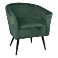 Eglo 424945 - Fauteuil AMPAHA 78x70 cm vert