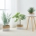 Eglo 426585 - ENSEMBLE DE 3 paniers décoratifs NANAE 16x27 cm blanc/beige
